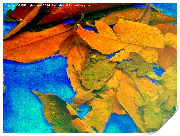Autumn Leaves Under the Water Print by Bill Lighterness