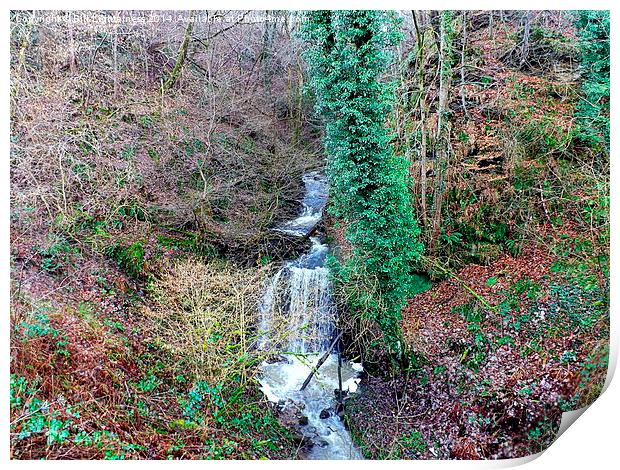 Waterfall at Garrion Bridge 2 Print by Bill Lighterness