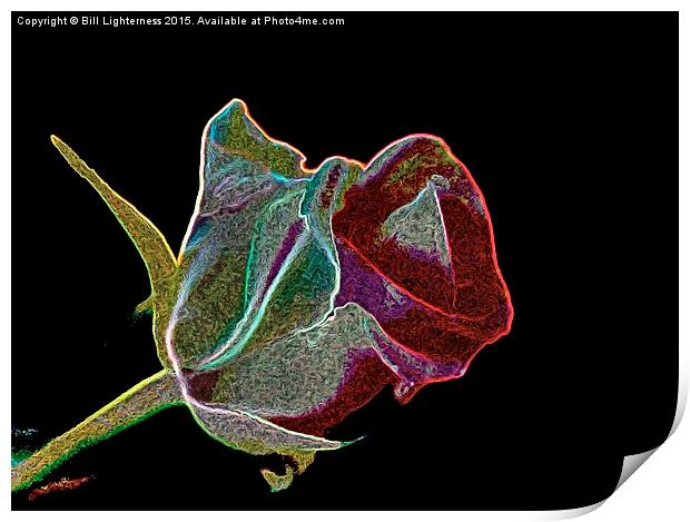  A Rose by any Other Name Print by Bill Lighterness
