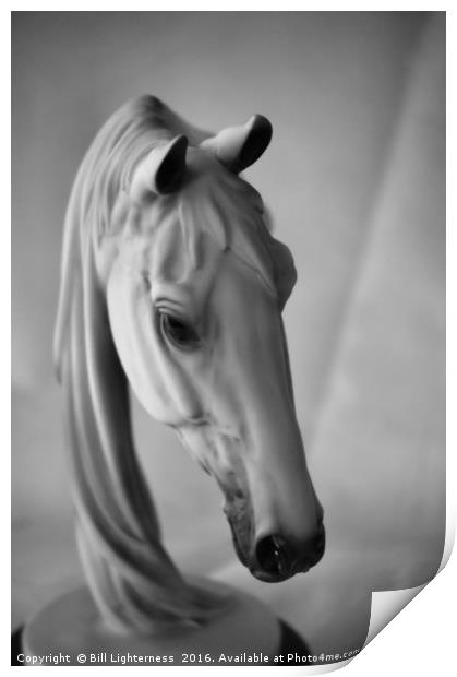 Equine Beauty Print by Bill Lighterness