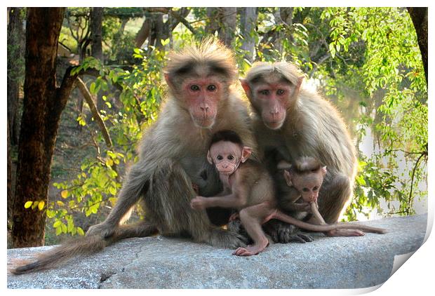Monkey Family Print by Sophia Yarwood