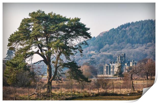Margam Castle Print by Purple OneTwoEight
