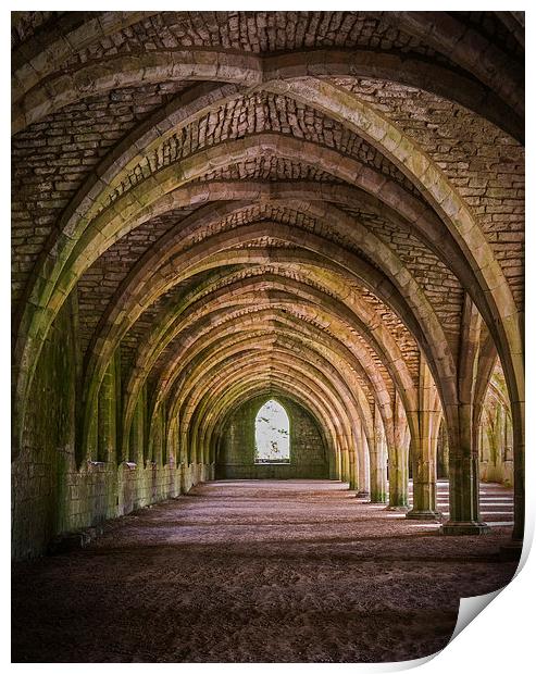 Fountains Abbey Print by Laura Kenny