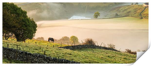  Early morning mist Print by Laura Kenny