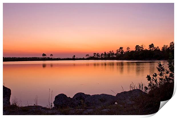 Pine Glades Lake At Sunset Print by Anne Rodkin