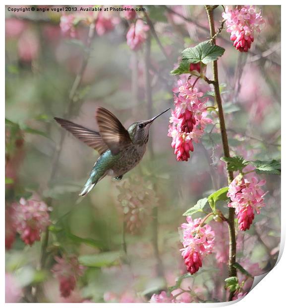 Hummingbird Heaven Print by angie vogel