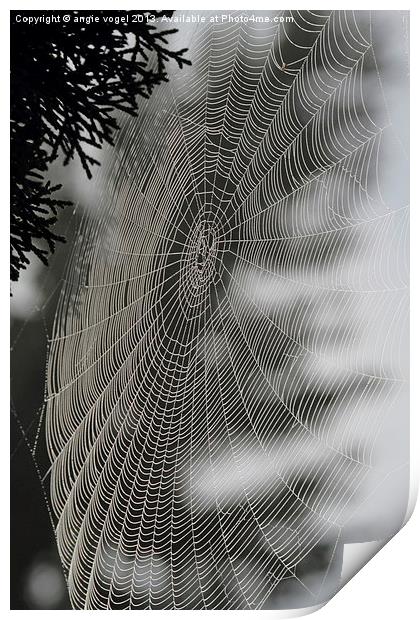 Spider Web Print by angie vogel