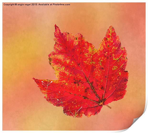October Glory Print by angie vogel