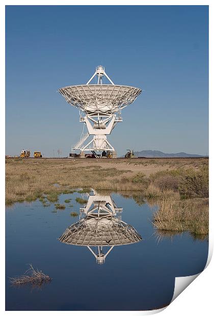 Very large Array Print by Steven Ralser