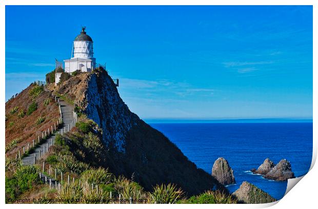 Nugget Point Lighthouse 4 - Catlins - New Zealand Print by Steven Ralser