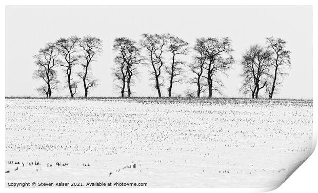 Trees in Snow 5 Print by Steven Ralser