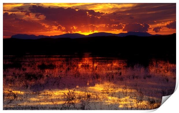 Bosque Sunset - orange Print by Steven Ralser