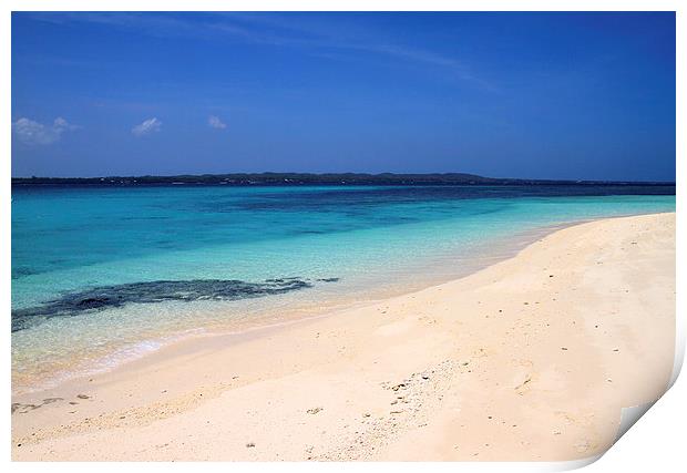 Virgin Island, Cebu Print by Joey Agbayani