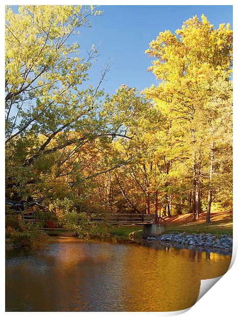 Autumns Golden Pond Print by Kim Hojnacki