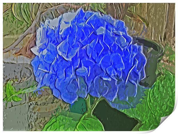 Hydrangea Blues Print by Pamela Briggs-Luther