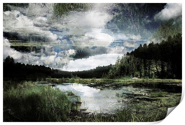lake in the forest Print by olga hutsul
