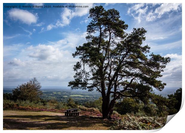 Leith Hill View Print by Wendy Williams CPAGB
