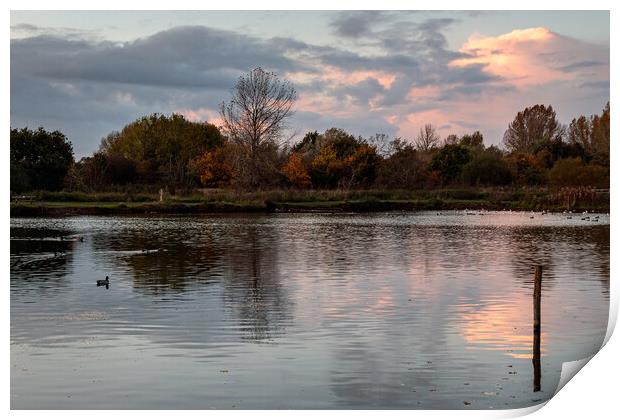 Nantwich Lake at Dusk Print by Wendy Williams CPAGB