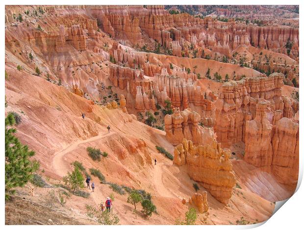 Sunset Point, Bryce Canyon Print by Wendy Williams CPAGB