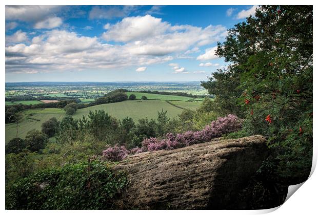 Overlooking the Cheshire Plain Print by Wendy Williams CPAGB