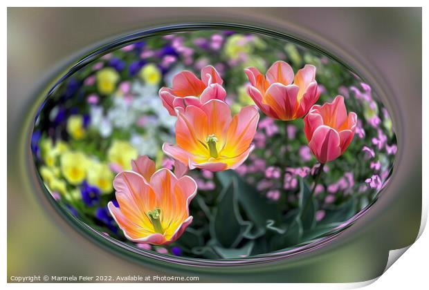 Golden pink tulips Print by Marinela Feier