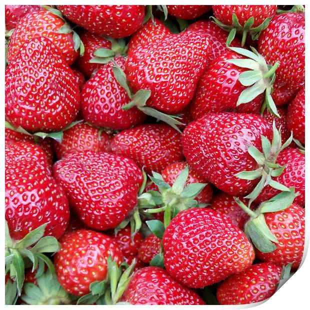  fresh strawberries 1 Print by Marinela Feier