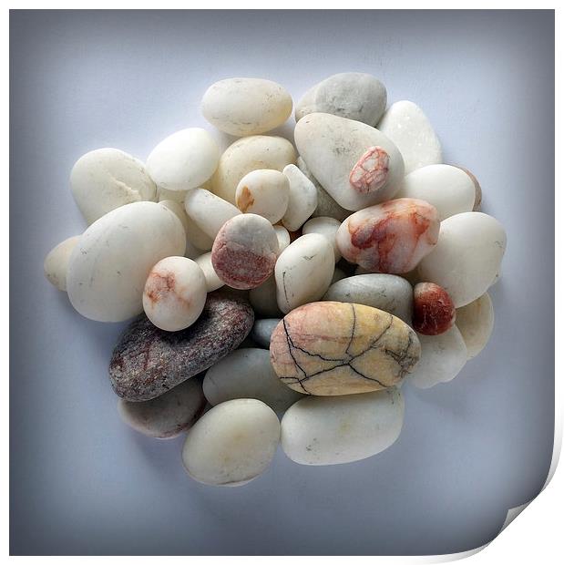  white pebbles 2 Print by Marinela Feier