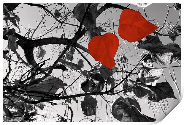  hearts of fall Print by Marinela Feier