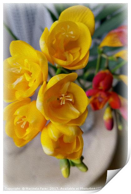 freesias bouquet Print by Marinela Feier