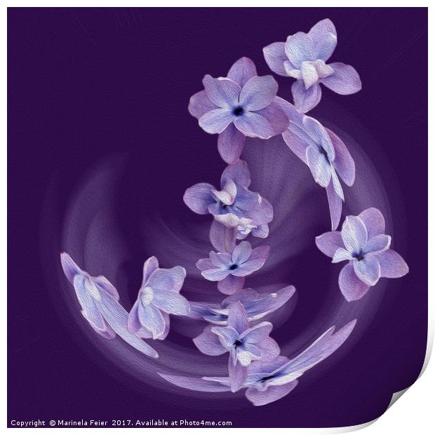 Lilac in circle Print by Marinela Feier