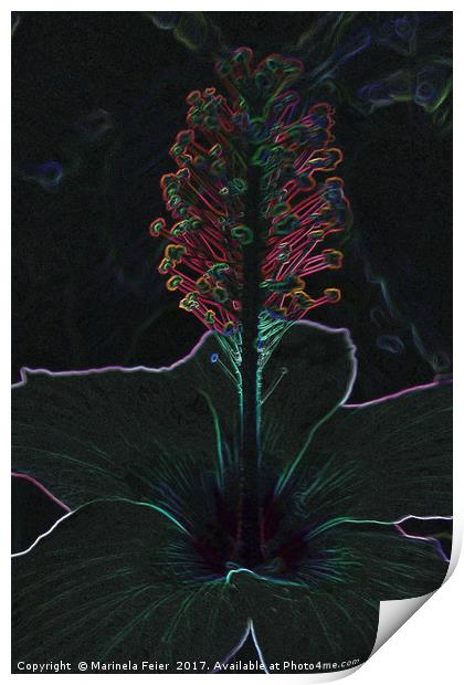 velvet colored flower Print by Marinela Feier