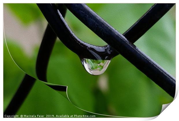 Drop of rain Print by Marinela Feier
