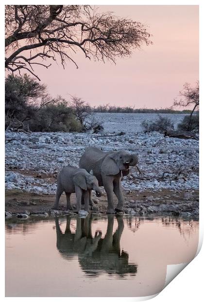 Mama Elephant and Calf Drinking Together, No. 3 Print by Belinda Greb