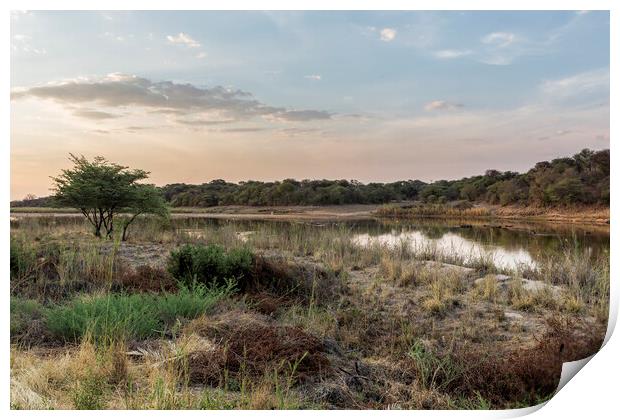 Evening Light on the Okavango River Print by Belinda Greb