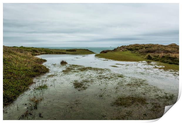 Outdoor oceanbeach Print by Belinda Greb