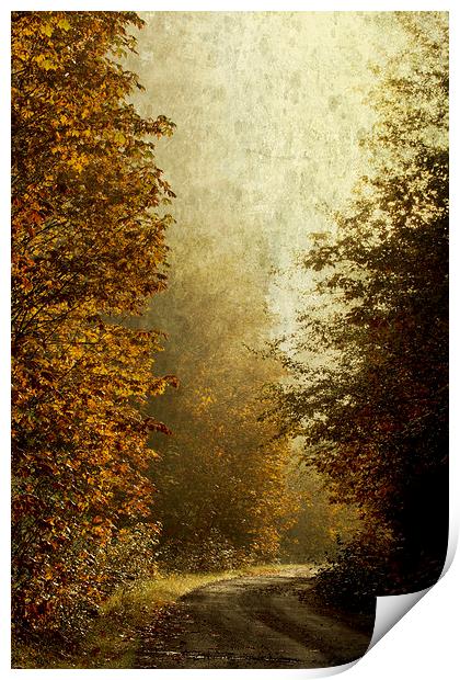 Another Road Travelled Print by Belinda Greb