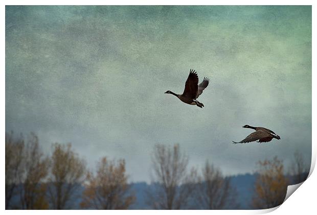  Taking Flight Print by Belinda Greb