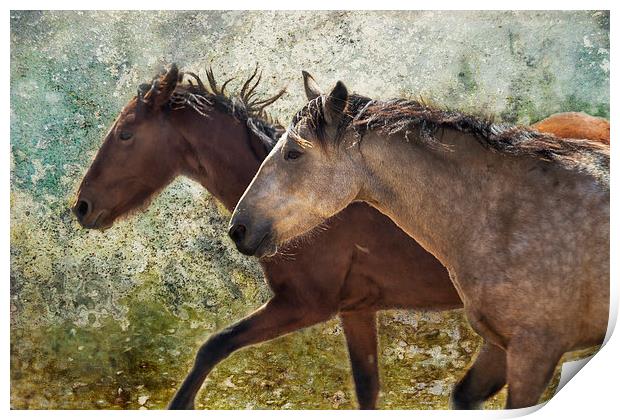  Running Free - Pryor Mustangs Print by Belinda Greb