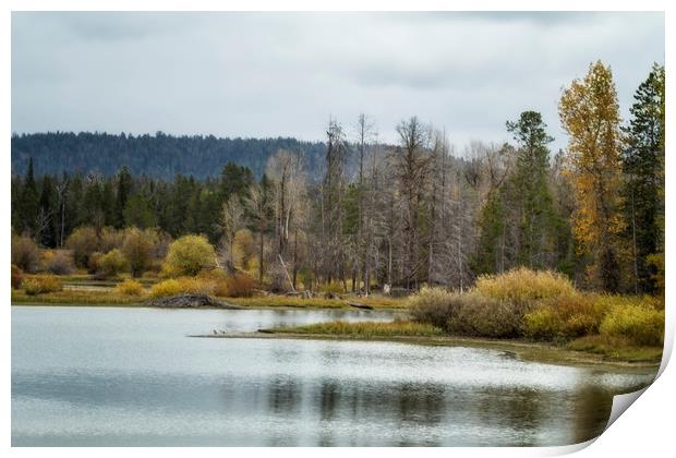 Snake River Cattleman's Bridge Site - Grand Tetons Print by Belinda Greb