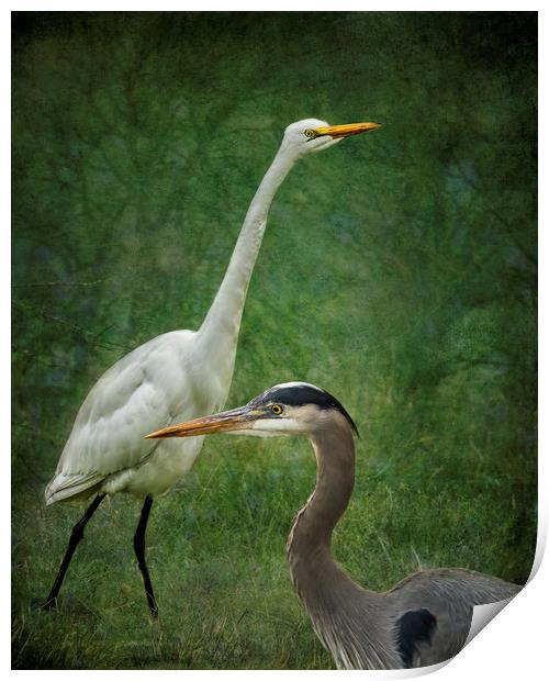 The Greats Print by Belinda Greb