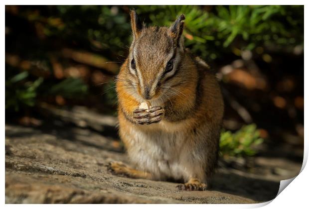 Lunch Print by Belinda Greb