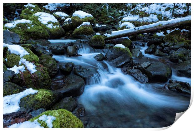 Snow, Moss, Water Over Rocks Print by Belinda Greb