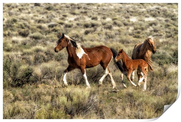 Running Comes Natural Print by Belinda Greb