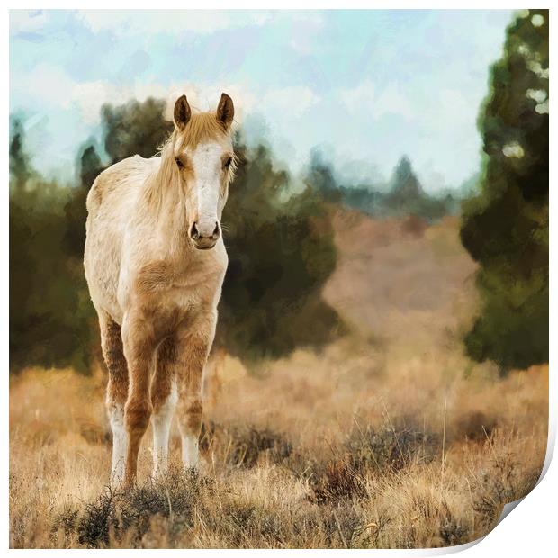 Awkwardly Appealing Print by Belinda Greb