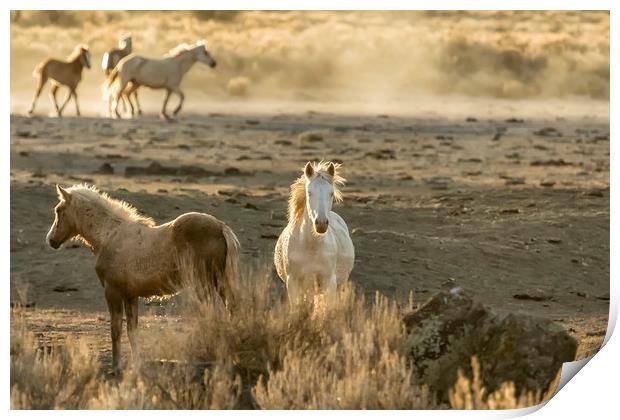 The Wild Spirit Print by Belinda Greb