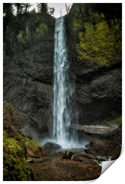 Latourell Falls Print by Belinda Greb