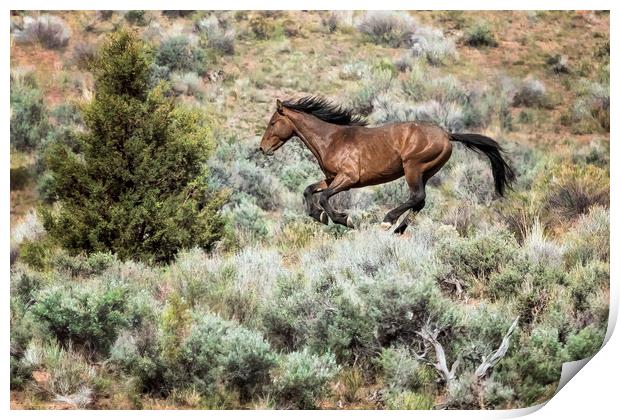 Running Through Sage Print by Belinda Greb