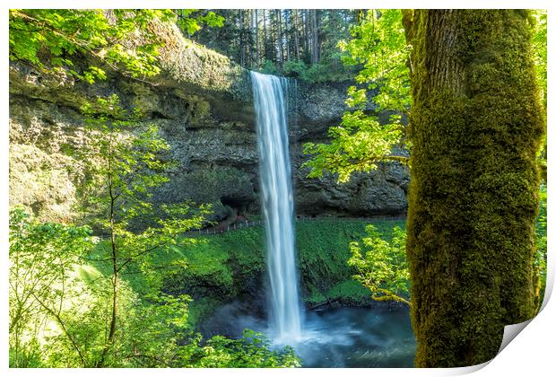 South Falls During Spring Print by Belinda Greb