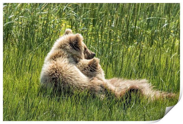 Best Friends Fur Ever - Bear Cubs, No. 8 Print by Belinda Greb