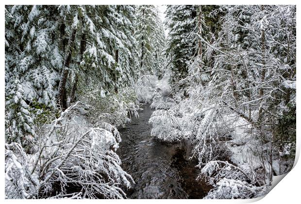 A Winter's View of Salt Creek Print by Belinda Greb